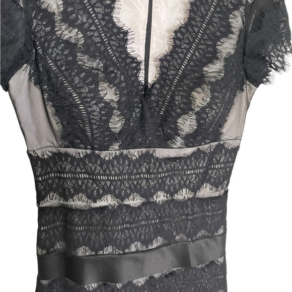 JS Collections Black Lace Nude Cocktail Dress 4 - Picture 2 of 6